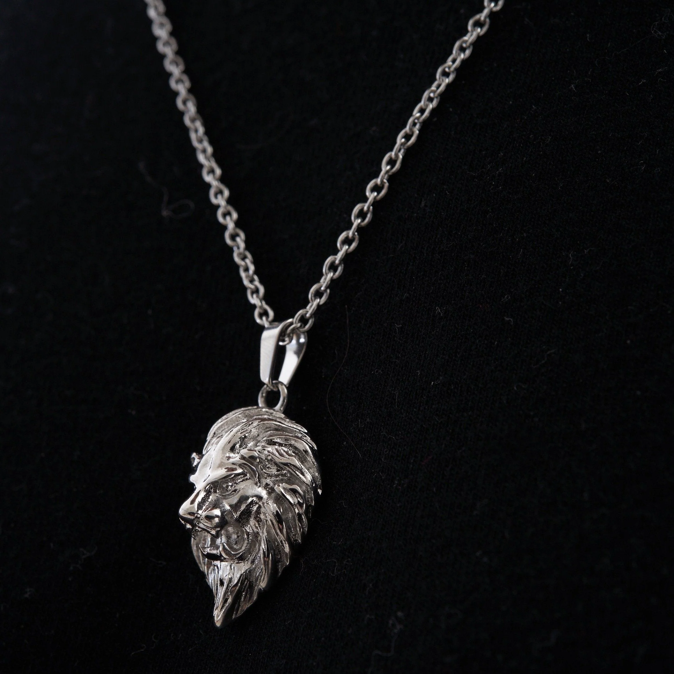 Lion (Silver) - Image 7